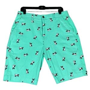 Plugg Flex Mens Mint Green French Bulldog Pop Art Preppy Dog Lover Shorts Sz 32